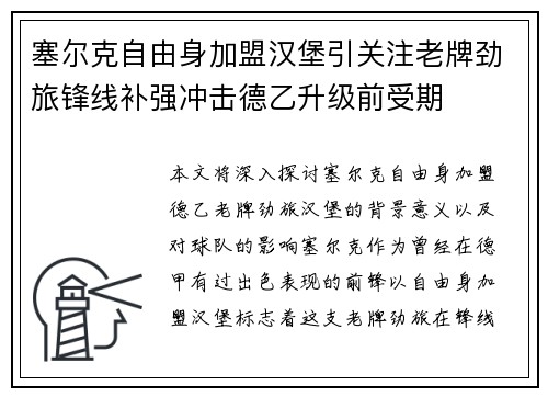 塞尔克自由身加盟汉堡引关注老牌劲旅锋线补强冲击德乙升级前受期